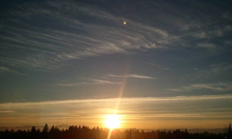 MORNING STAR - Sharsharu - PX